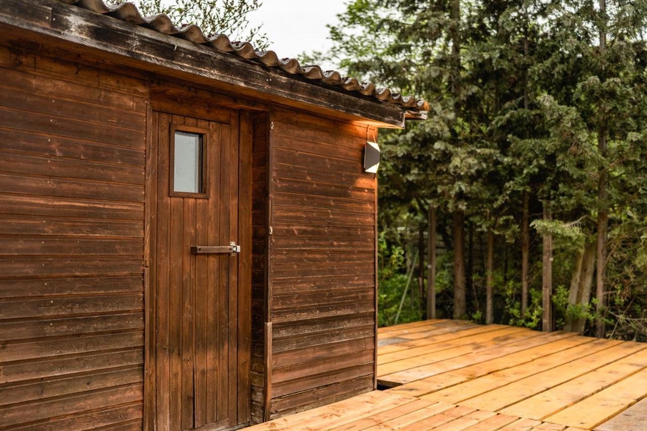 Die Entspannendste Wohnung Am Edersee - Spa Sauna Edertal Экстерьер фото